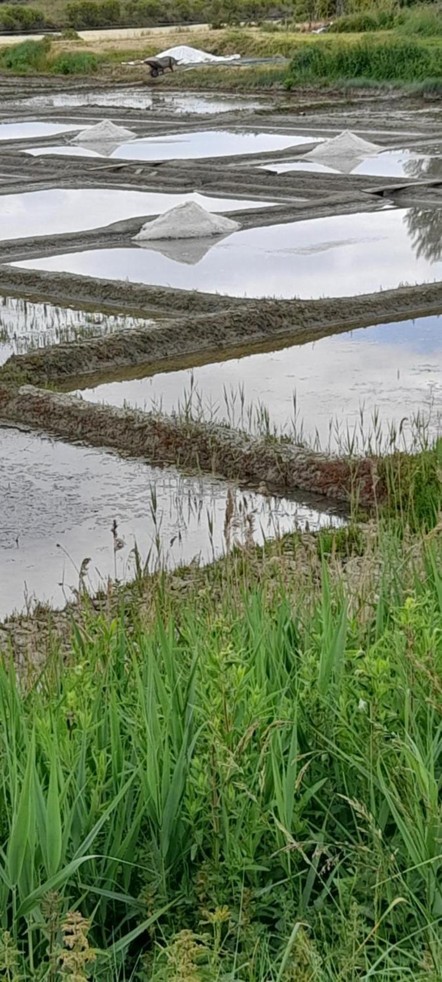 Les Pieds Dans L'eau * Batz-sur-Mer